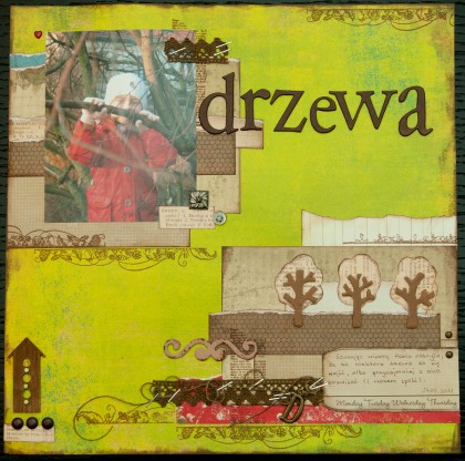 Drzewa